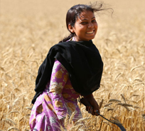 Livelihood